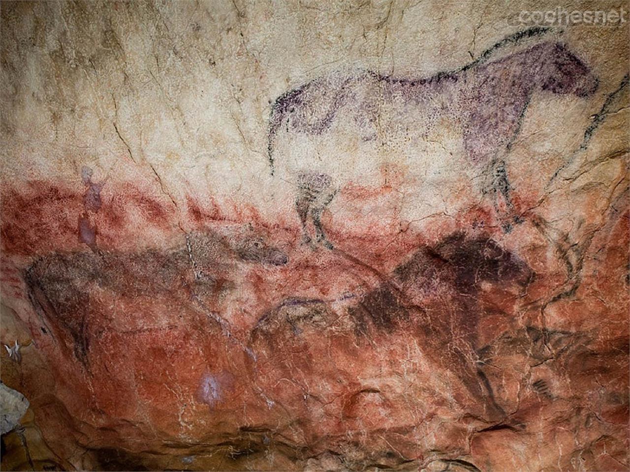 Pinturas rupestres en la Cueva de Tito Bustillo