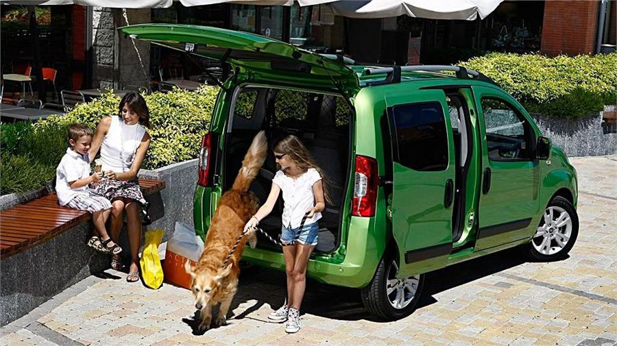 Los animales domésticos sueltos en el coche pueden provocar distracciones, desestabilizar el coche y provocar serias lesiones en caso de accidente.