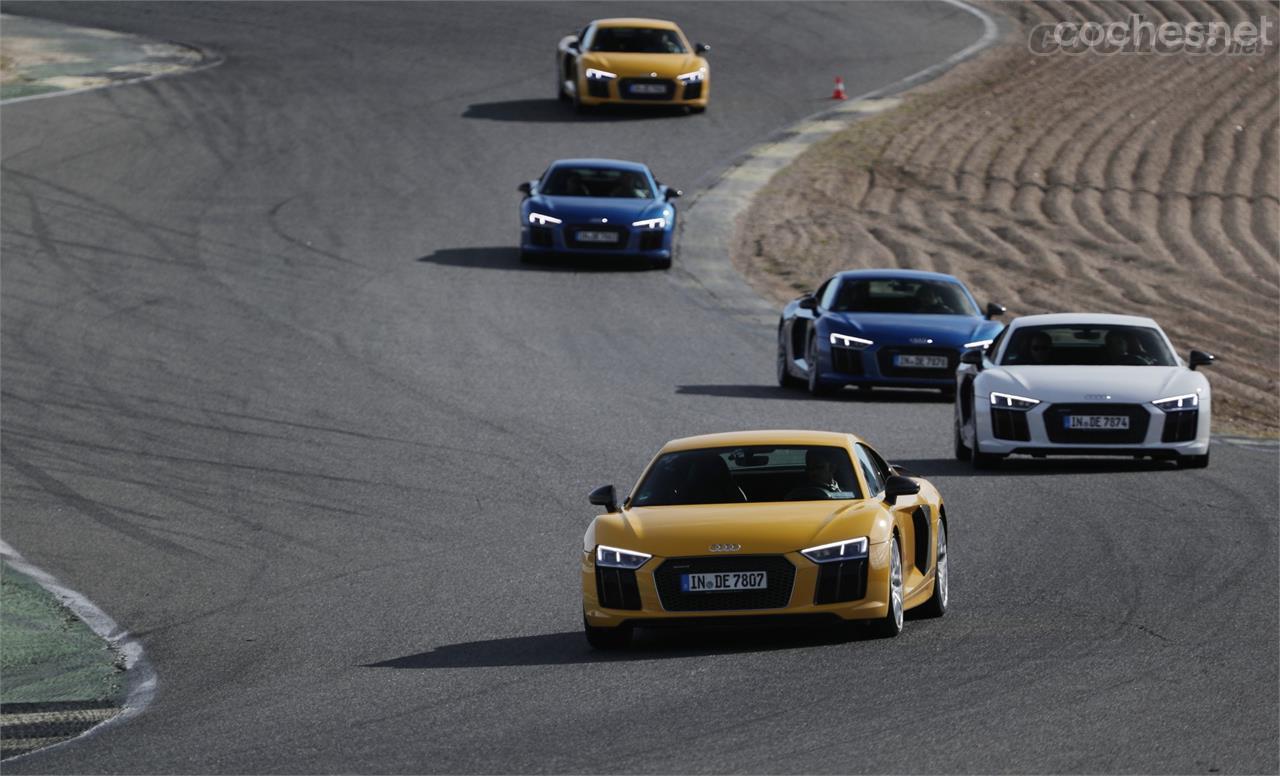 Este curso avanzado de conducción deportiva nos brinda la oportunidad de pilotar con total seguridad los Audi RS 5 y R8 V10 Plus.