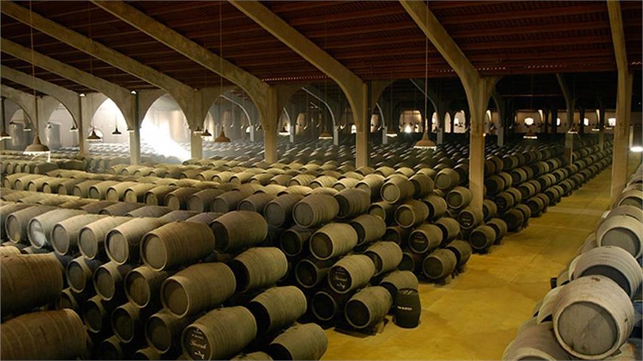 Cádiz es la cuna de los vinos finos y generosos, de sus bodegas salen caldos de fama mundial