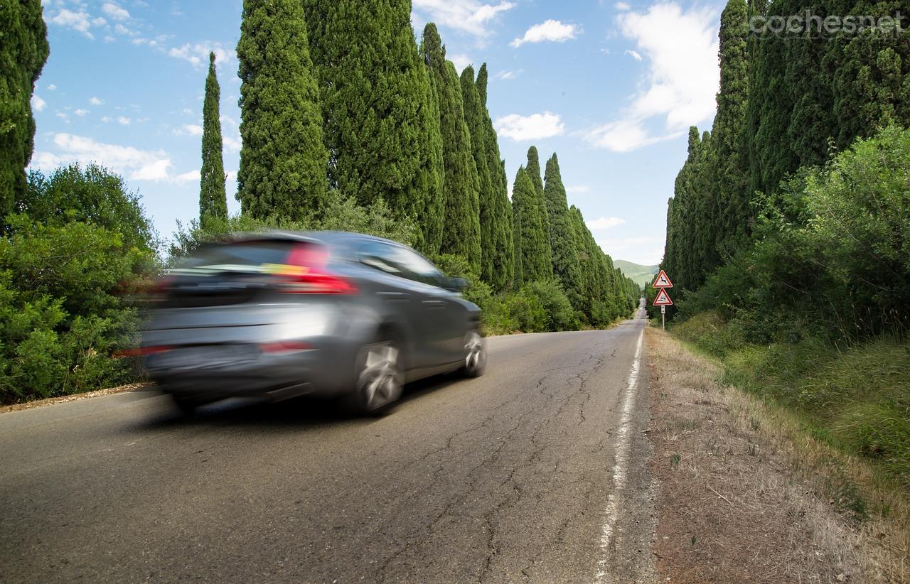 ¿Sufres alergia? Así afecta a la conducción