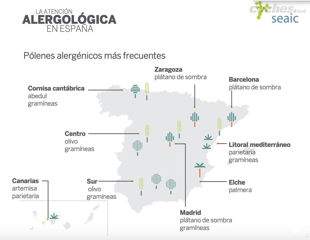 Mapa de pólenes alérgicos más frecuentes en España por zonas. Fuente: SEAIC