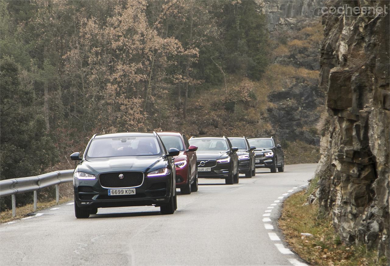 Pese a que su hábitat natural son las vías rápidas, estos coches no desmerecen en carreteras de segundo orden, sobre todo el Stelvio.