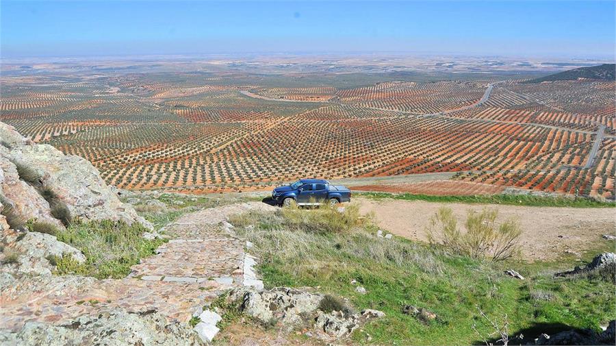 Un mar de viñas y olivos pueblan los campos de la provincia