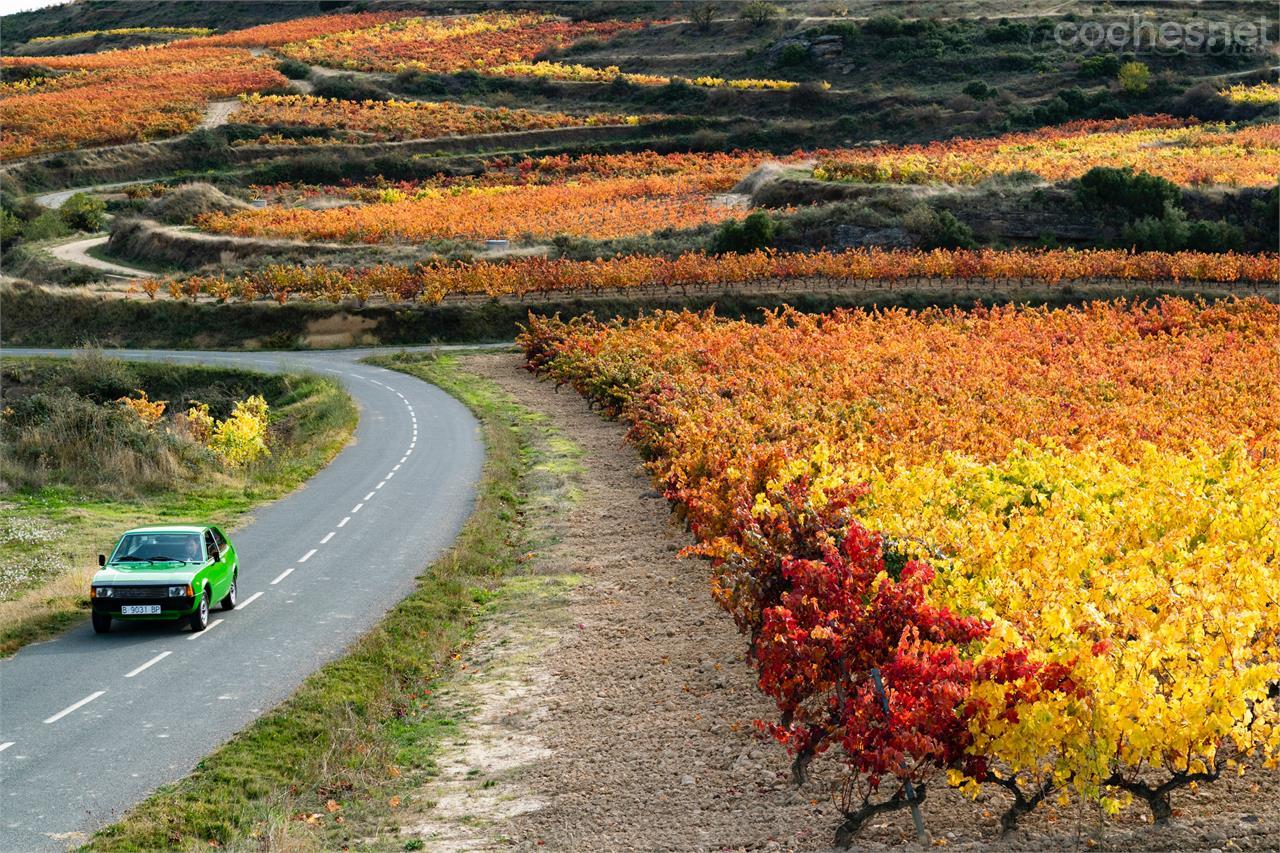 Como si de un lienzo se tratara, la Rioja alavesa en pleno otoño es un escenario fascinante de colores. El verde intenso del 1200 Sport contribuye a ello.