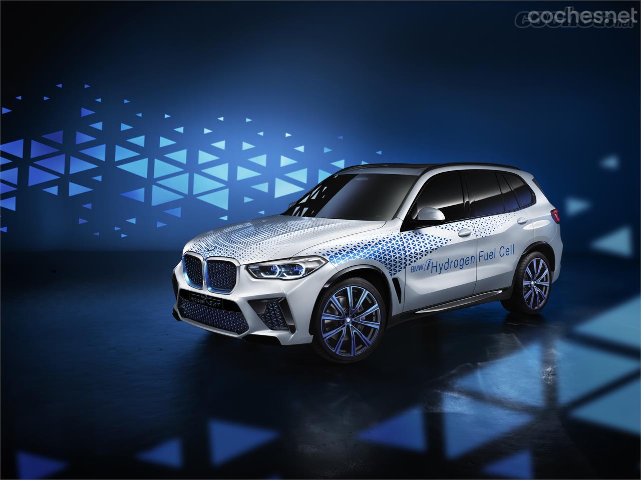 BMW ya ha construido y presentado alguna unidad de BMW X5 que utiliza el hidrógeno como fuente de energía. 