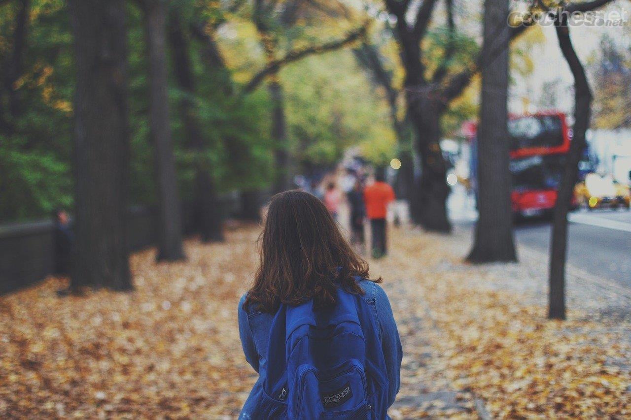 Desde las asociaciones de padres y alumnos y ayuntamientos se promueve la puesta en marcha de caminos escolares seguros.