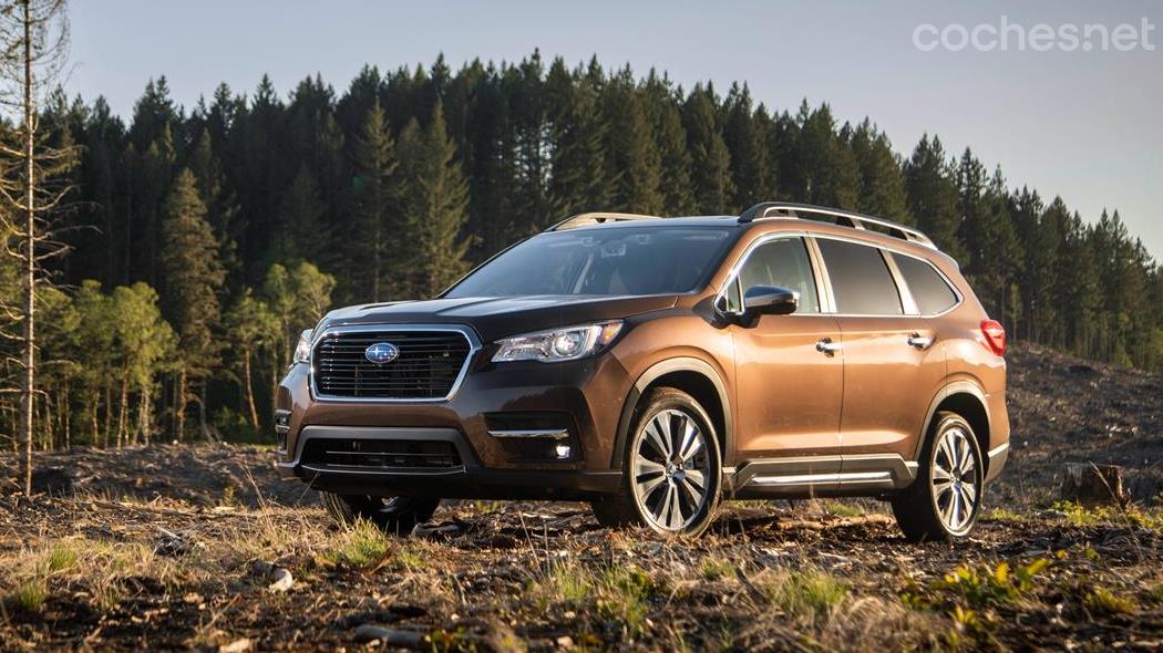 The Subaru Ascent looks like a Forester coming out of a crash course in bodybuilding.