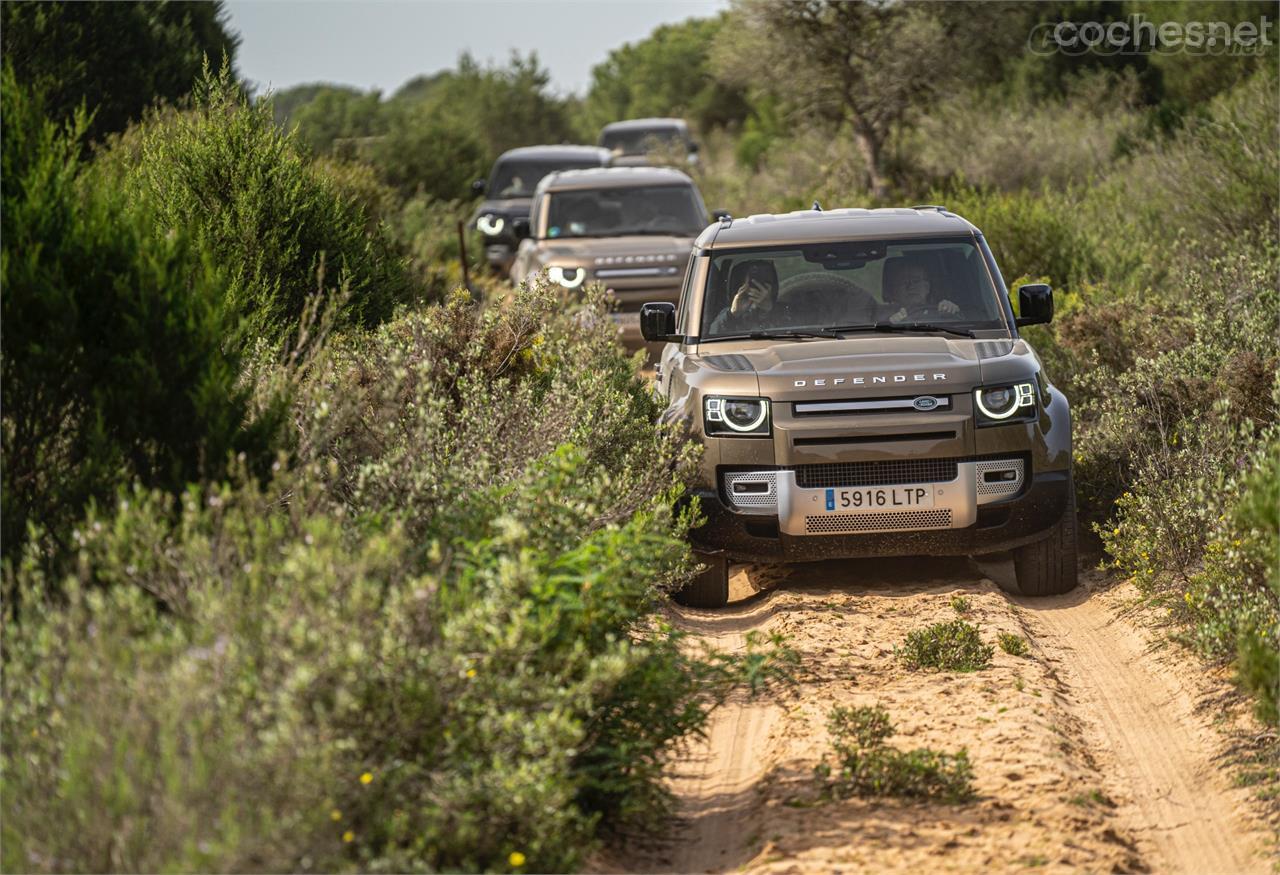 Visitamos el Parque de Doñana con un Land Rover Defender