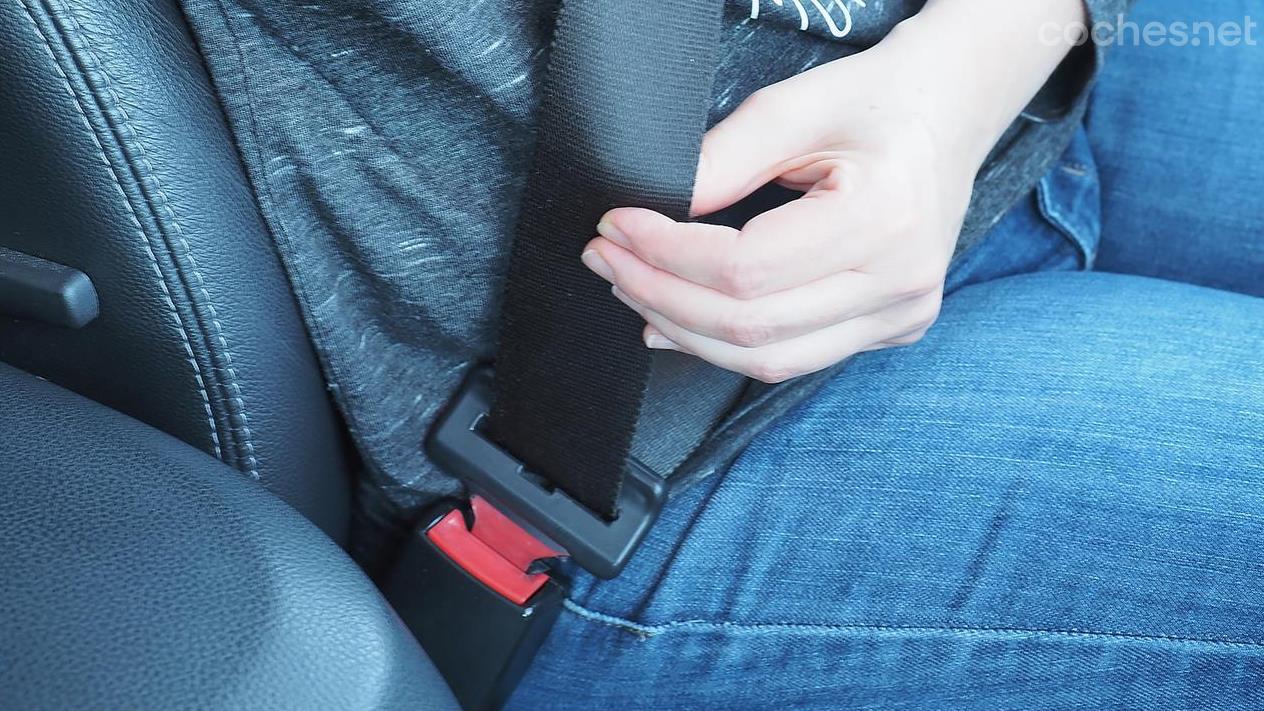 Por qué se deben abrochar cinturones de seguridad traseros