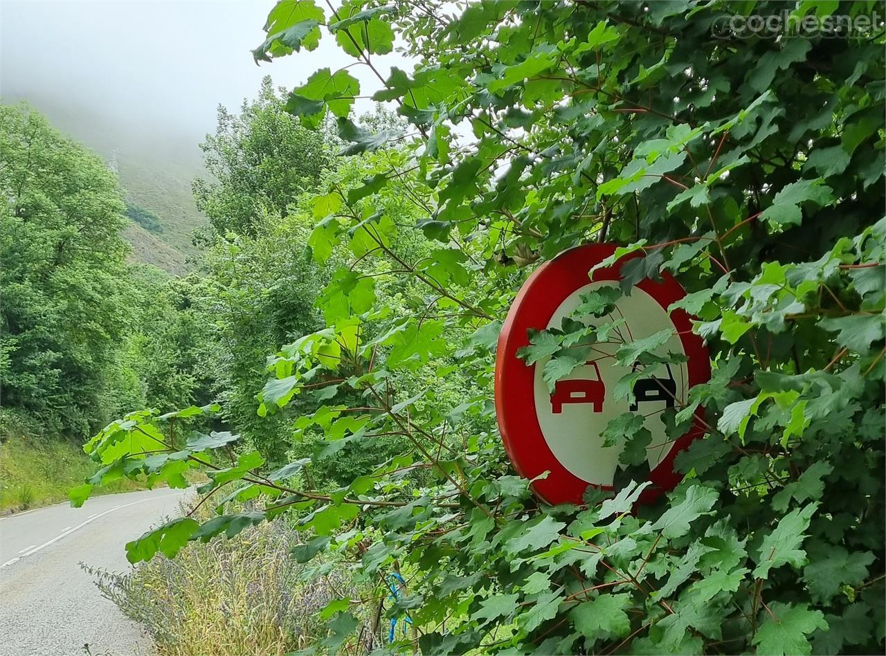 Vertical signage barely visible behind the vegetation due to lack of maintenance.