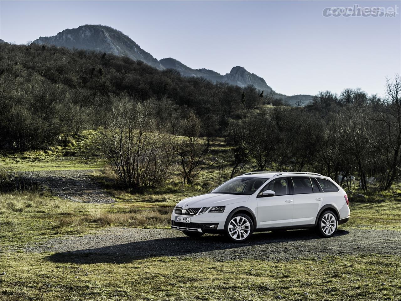 Skoda Scout El Octavia M s Aventurero Se Pone Al D a Noticias Coches