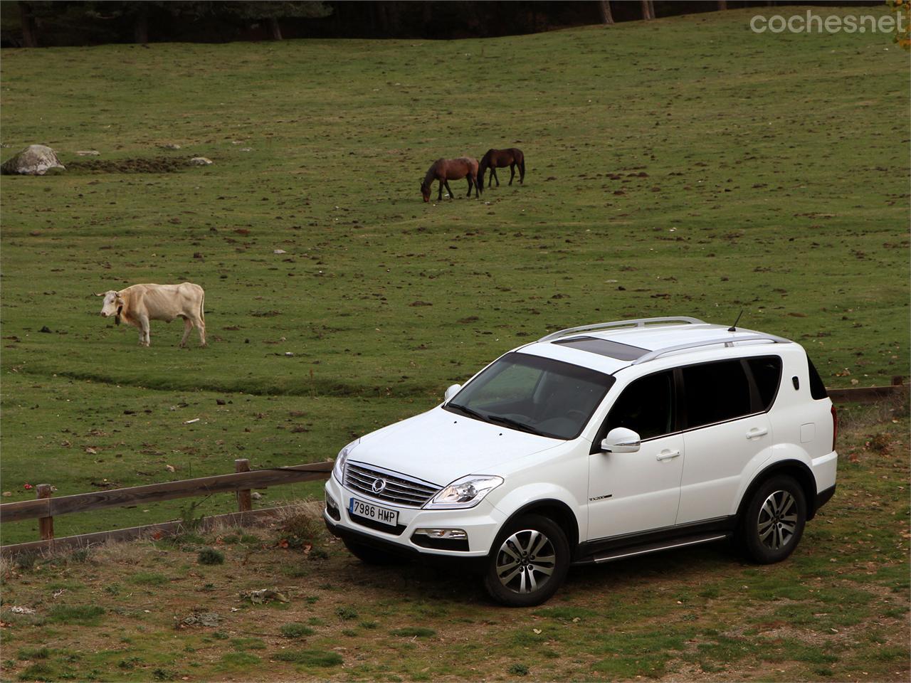 Ssangyong Rexton W