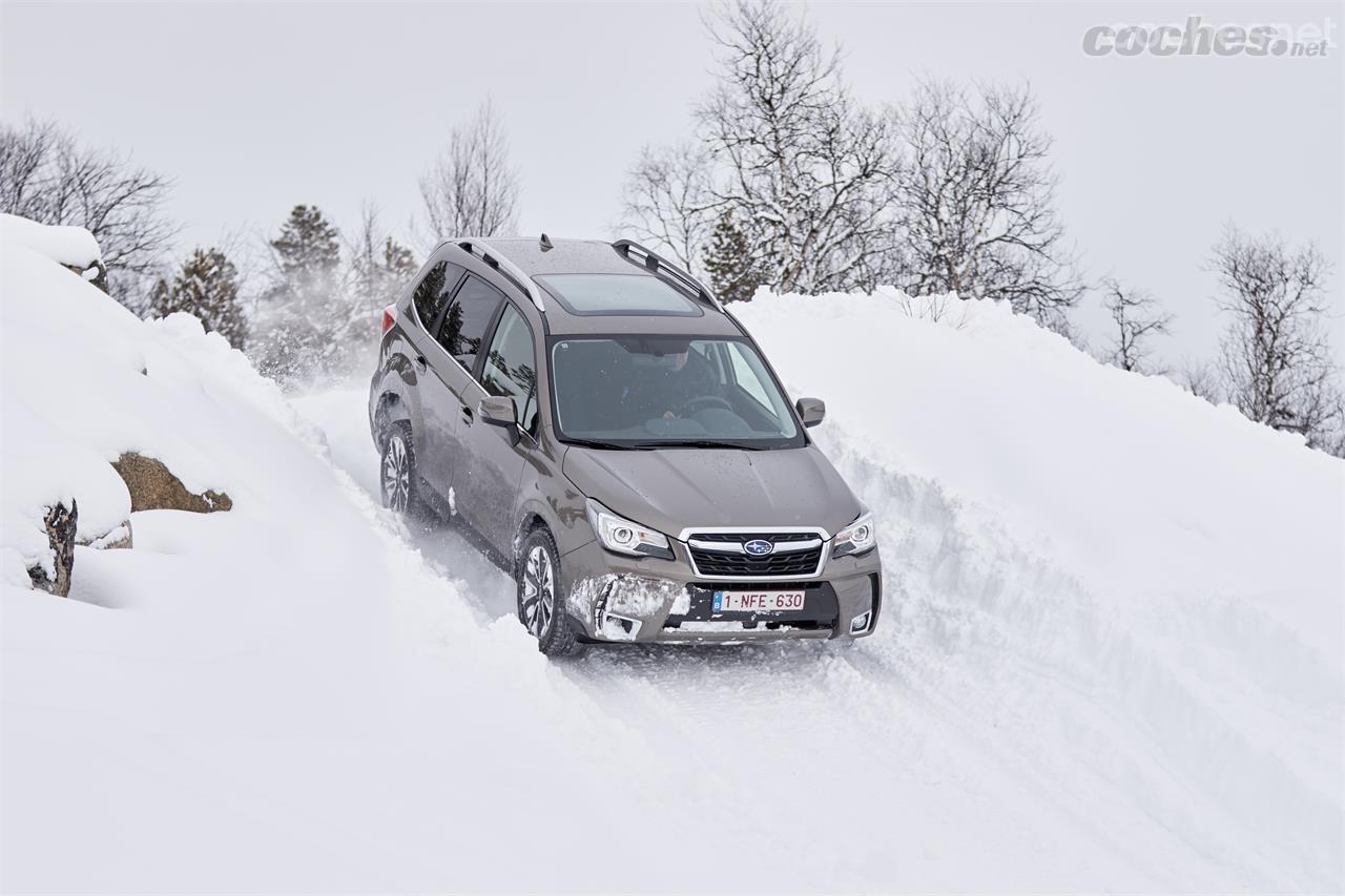 El Subaru Forester luce aquí su nuevo frontal. Este SUV, de gran éxito en EE.UU, se vende poco en España, a pesar de sus buenas aptitudes. 