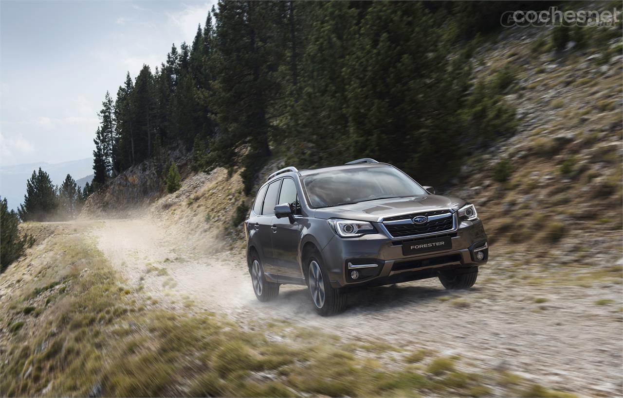 El Subaru Forester viene este 2018 con cambios en su equipamiento, que mejoran su seguridad activa.