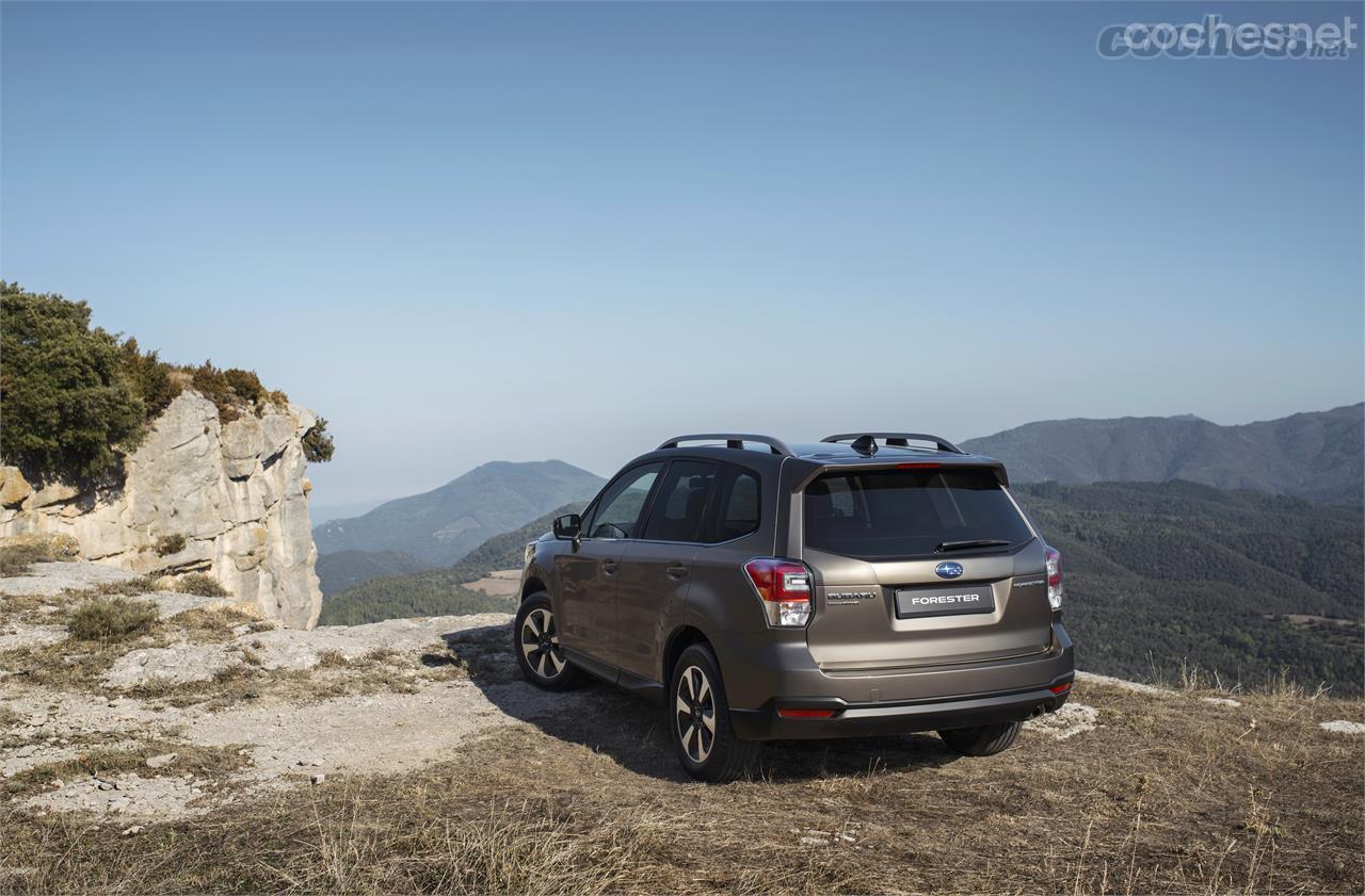 La polivalencia del Subaru Forester se mantiene con el paso de los años. Ya tiene más de dos décadas de vida comercial. 