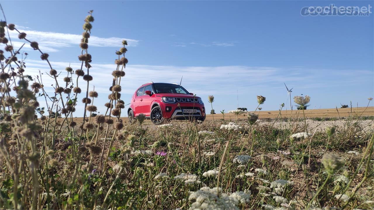 El Suzuki Ignis 2020 estrena un nuevo frontal pero mantiene sus cotas intactas.