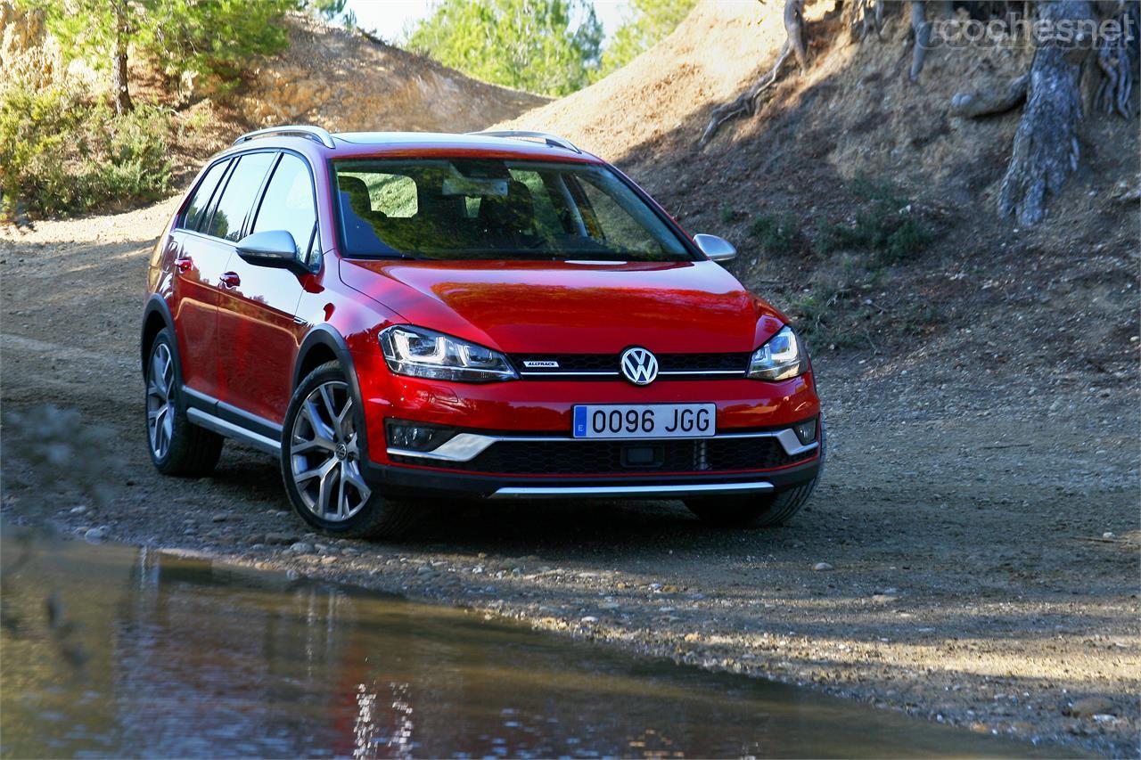 Pese a tratarse del mismo coche, el Golf Alltrack es más caro que el León X-Perience y el Skoda Scout, todos ellos con prácticamente el mismo equipamiento.