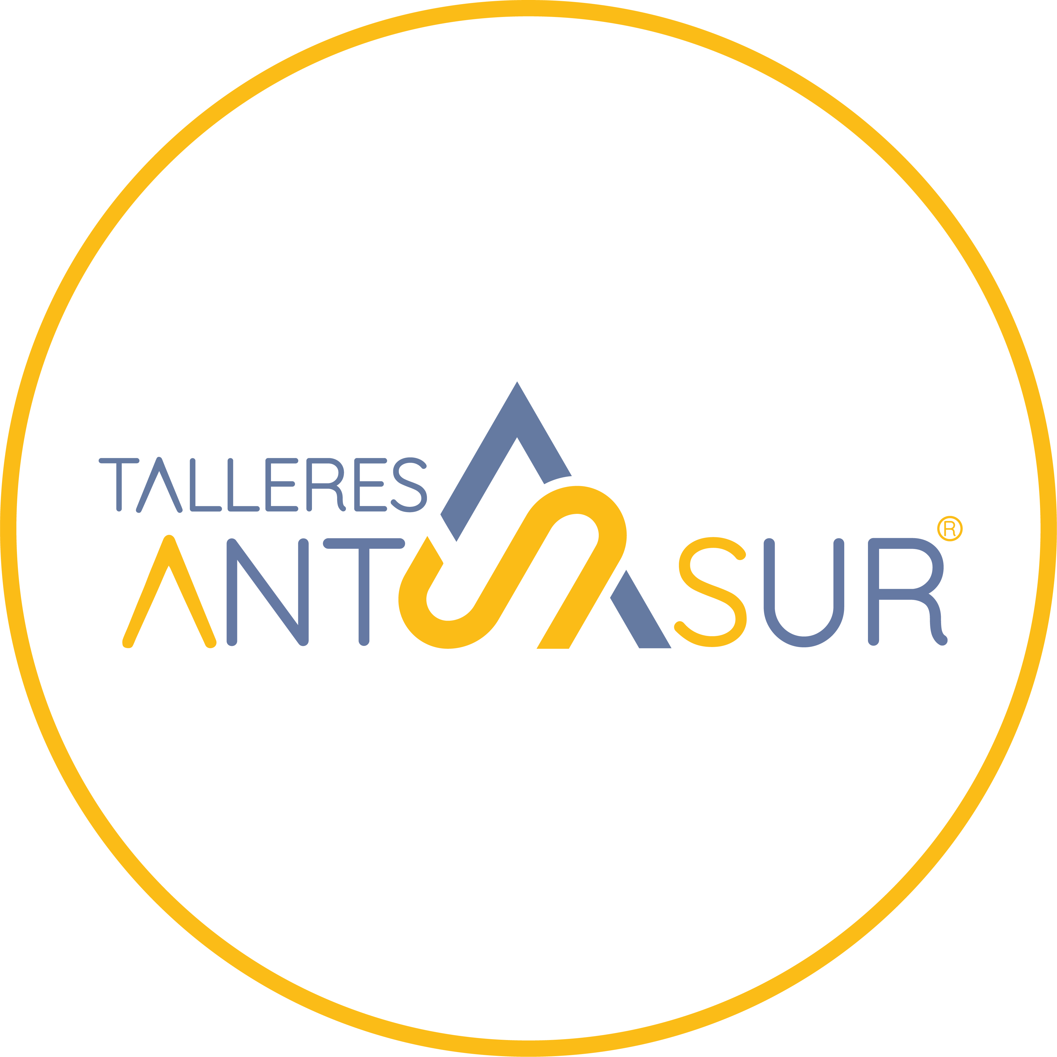 Talleres Antasur SL