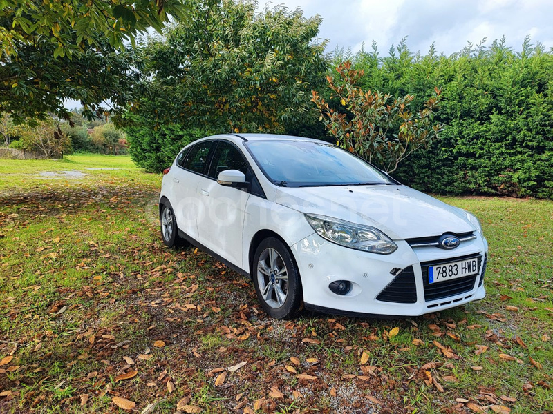 FORD Focus 1.6 TDCi 115cv Edition 5p.