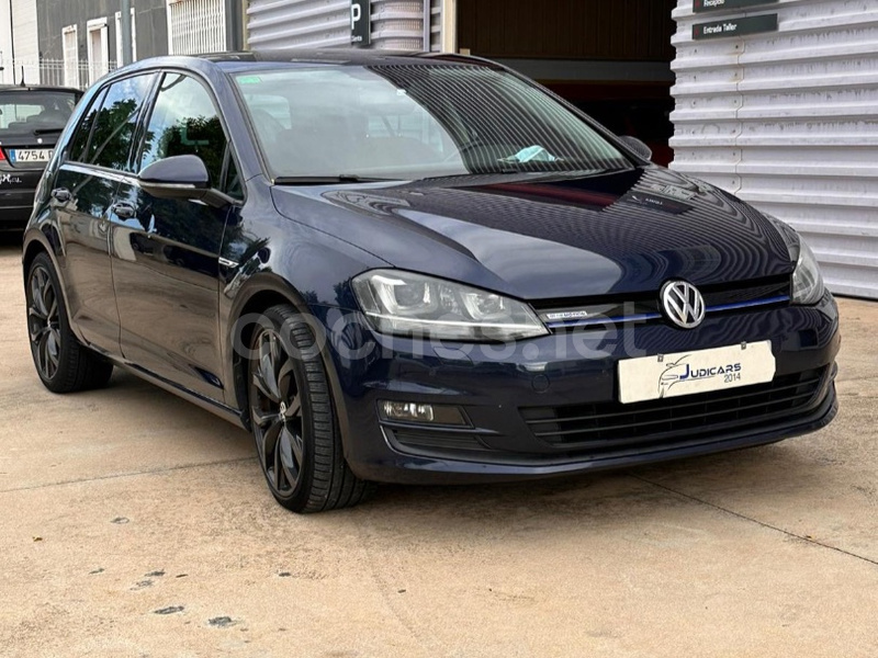 VOLKSWAGEN Golf Business 1.6 TDI Bluemotion