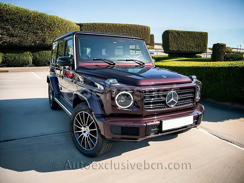 MERCEDES-BENZ Clase G G 400 D