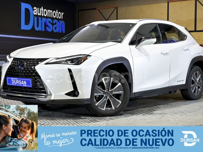 LEXUS UX 300e Business