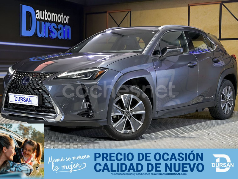LEXUS UX 300e Business