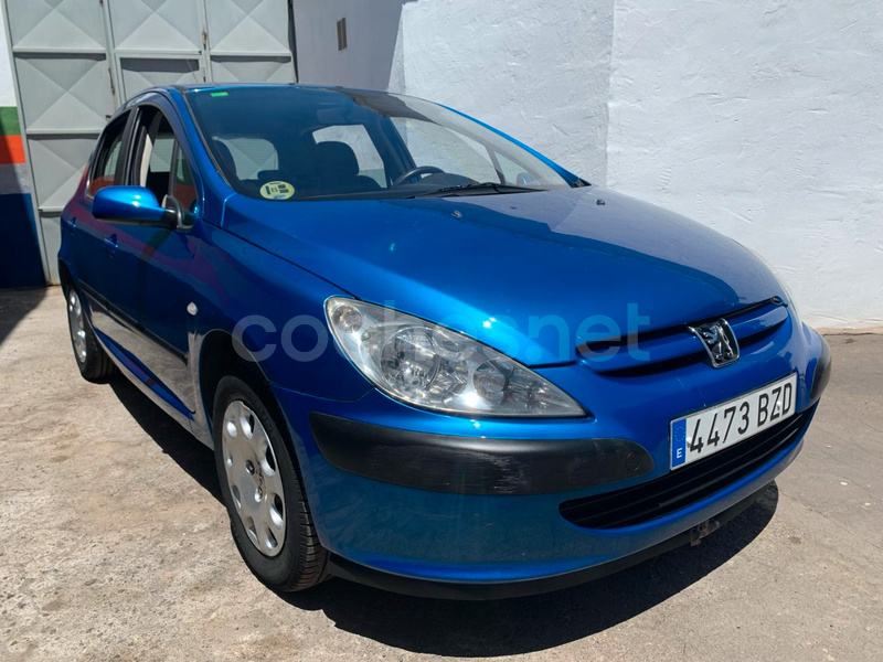 PEUGEOT 307 1.6 XS