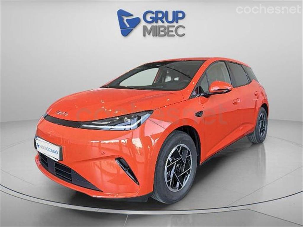 BYD Dolphin G