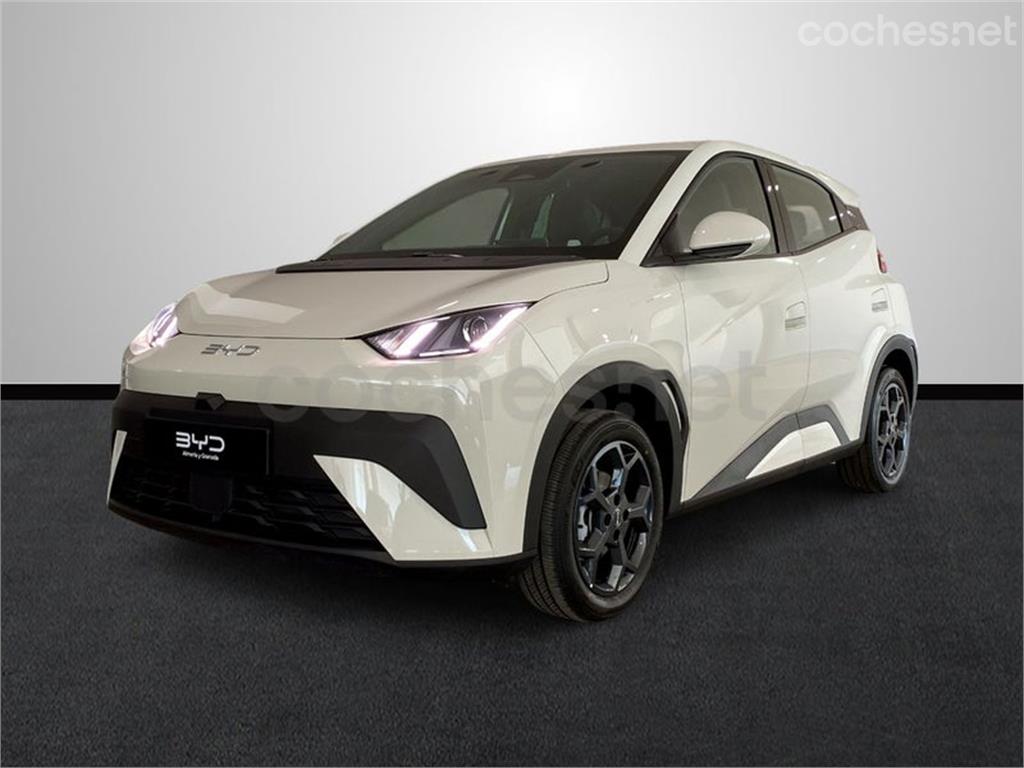 BYD Dolphin Surf