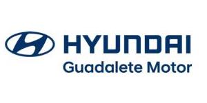 logo de Guadalete Motor 