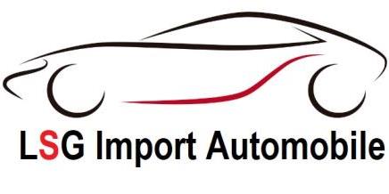 logo de LSG Import Automobile