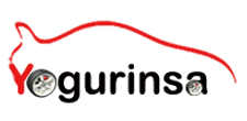 logo de Yogurinsa