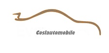 logo de Coslautomobile