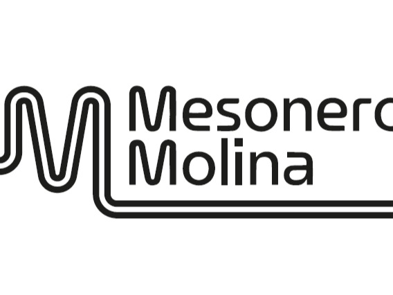 logo de mesoneromolina.com