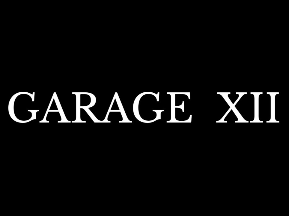 logo de GARAGE XII Automoción