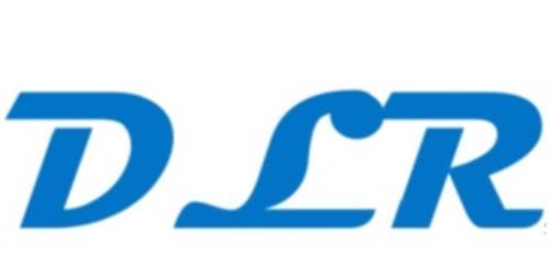 logo de Dlr Rent 