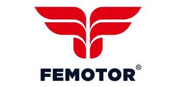 logo de Femotor