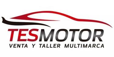 logo de Tesmotor