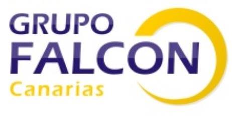 logo de Automoción Grupo Falcon