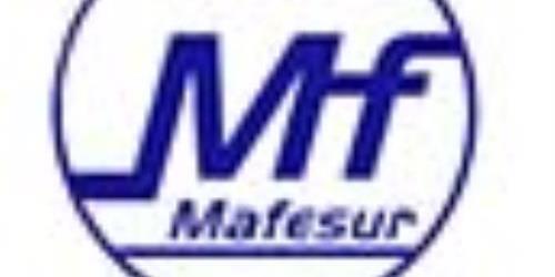 logo de Automoviles Mafesur