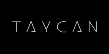 logo de Taycan Car Services S.L.