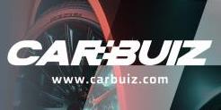 logo de CARBUIZ