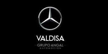 logo de VALDISA