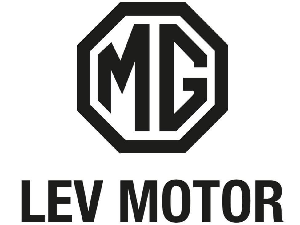 logo de MG LevMotor Valladolid y Palencia