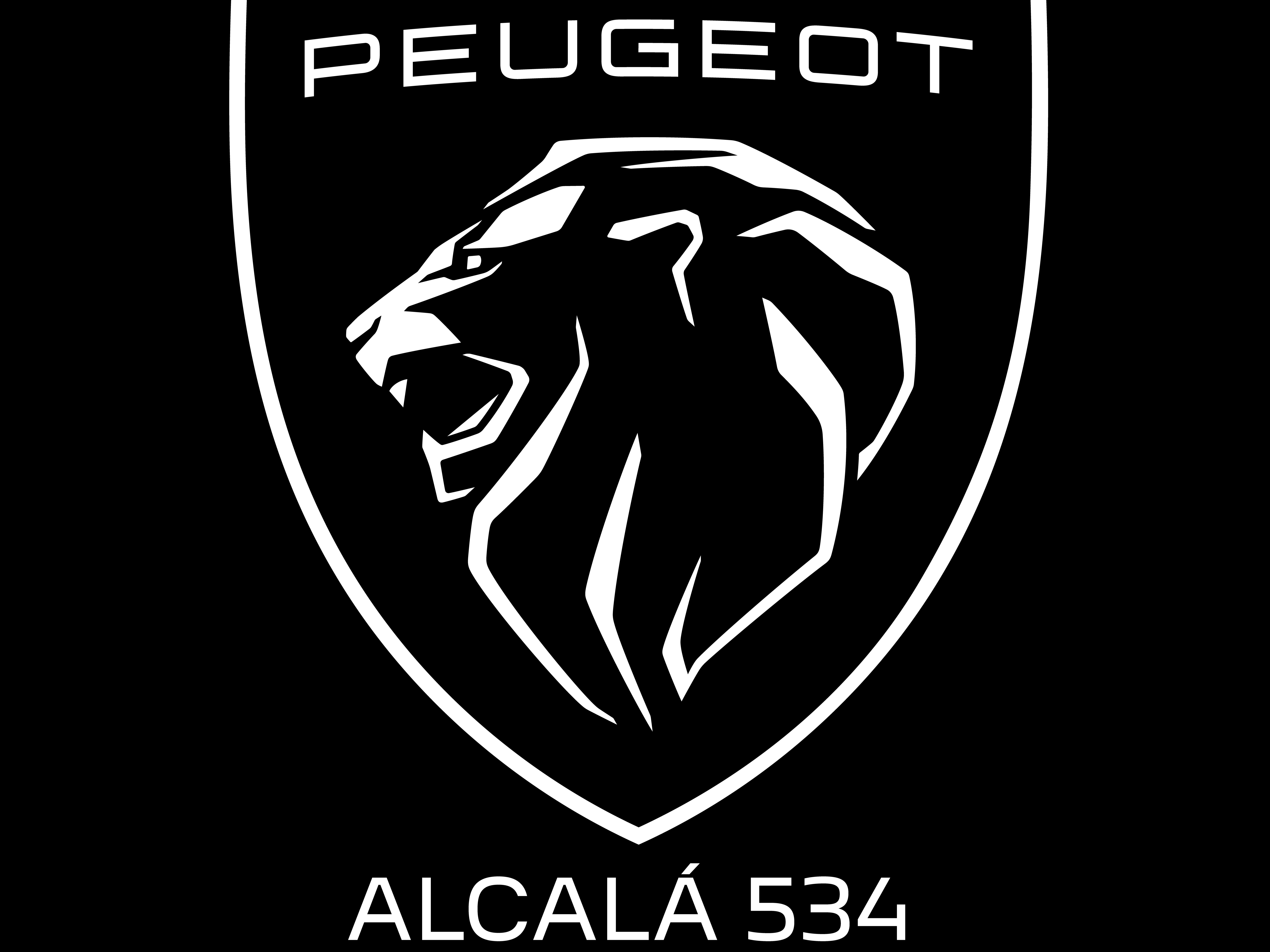 logo de Alcala 534 (Grupo Paceni)