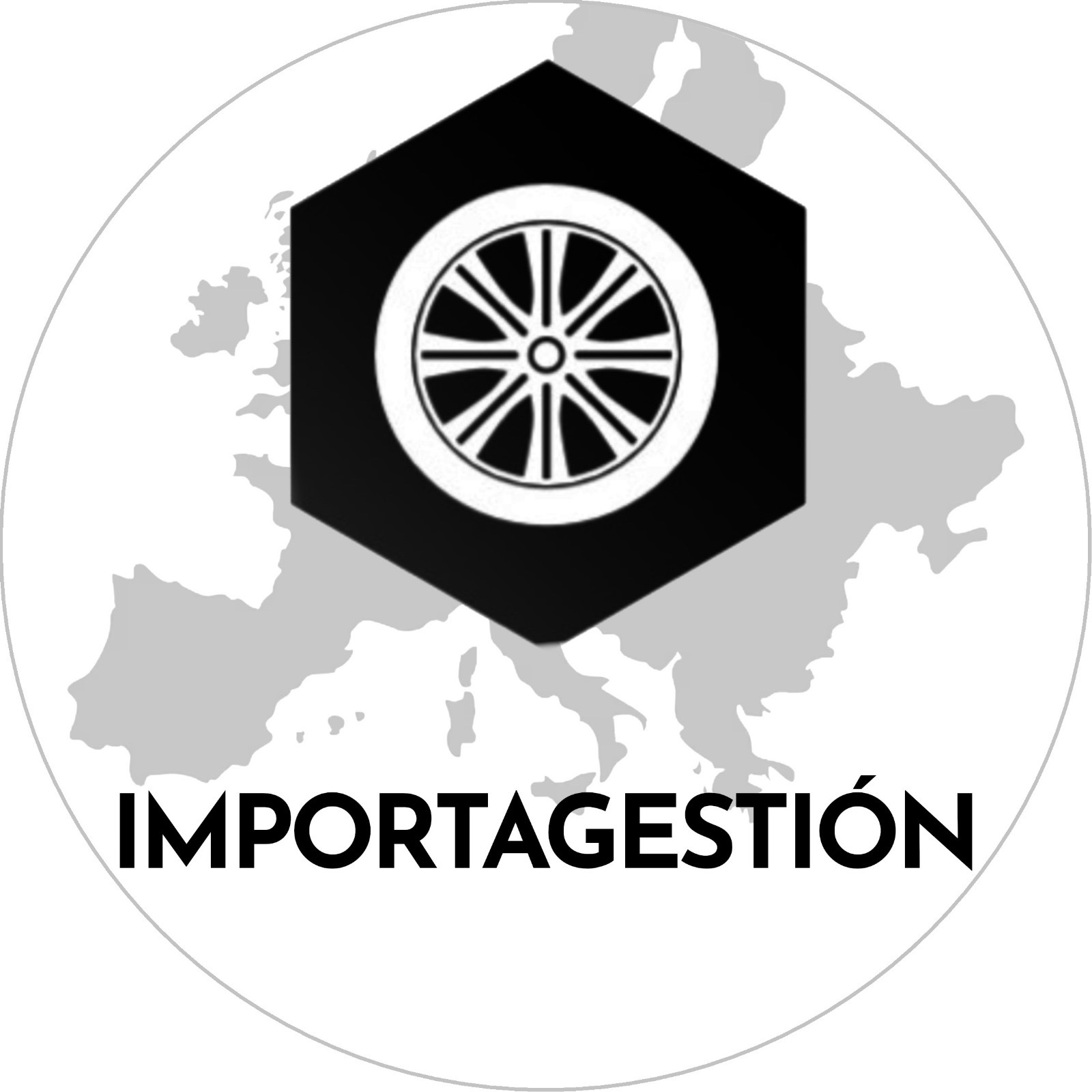 logo de Importagestion 2022 SL