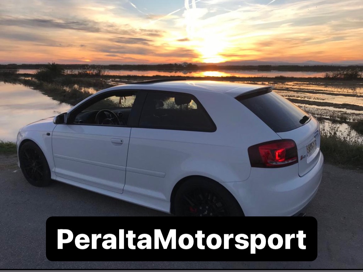 logo de Peralta MotorSport
