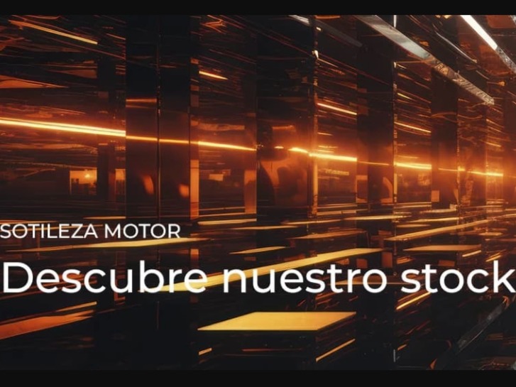 logo de Sotileza Motor Ibérica